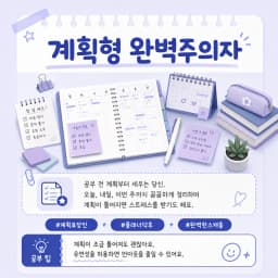 계획형 완벽주의자