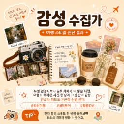 감성 수집가